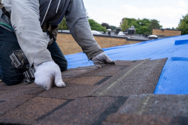 Best Metal Roofing Contractor  in Pearisburg, VA