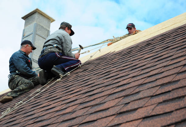Best Roof Gutter Cleaning  in Pearisburg, VA