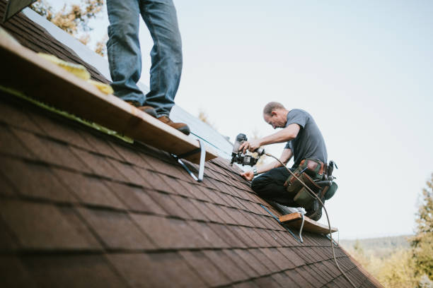 Best Roof Waterproofing Services  in Pearisburg, VA